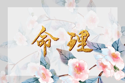 2025年黄道吉日查询_老黄历黄道吉日_黄道吉日万年历大全